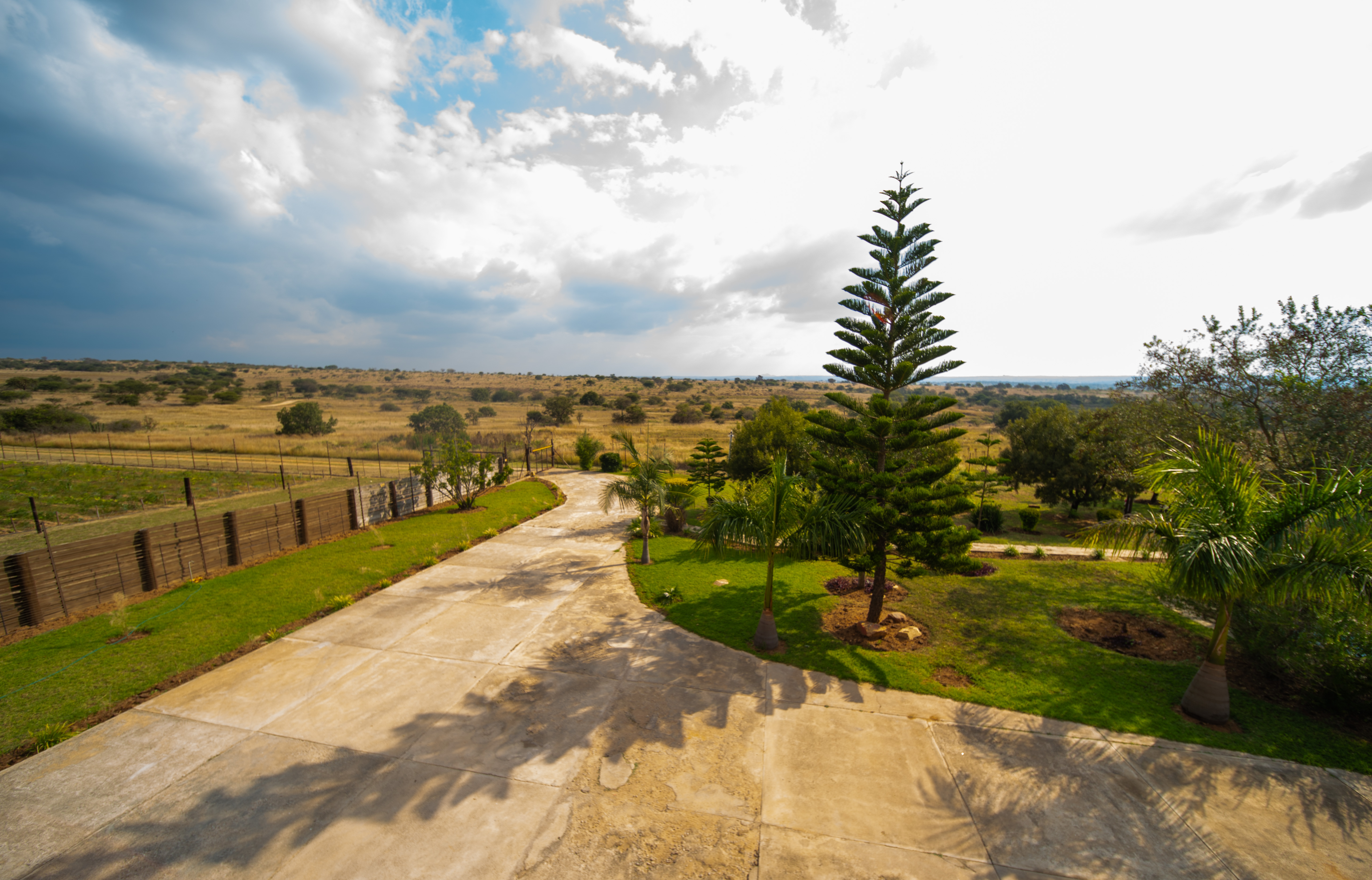 Entrance Driveway